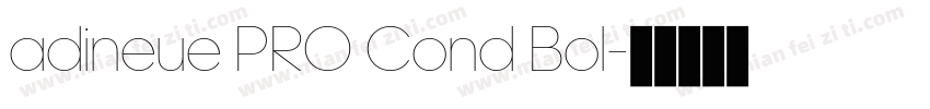 adineue PRO Cond Bol字体转换